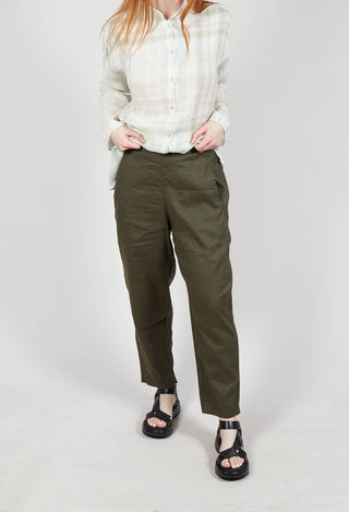 Terra D Trousers in Alga