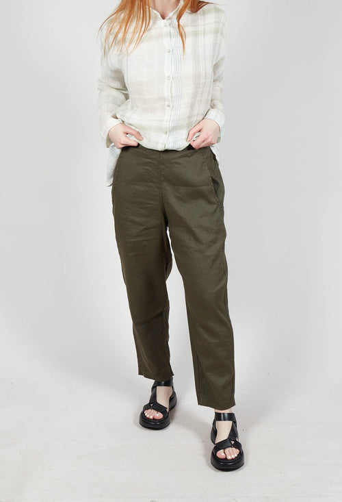 Terra D Trousers in Alga