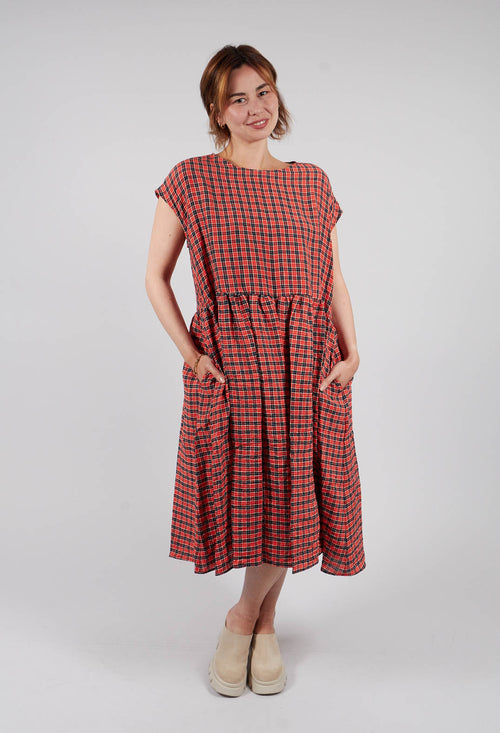 Midi Dress in Poppy Blu