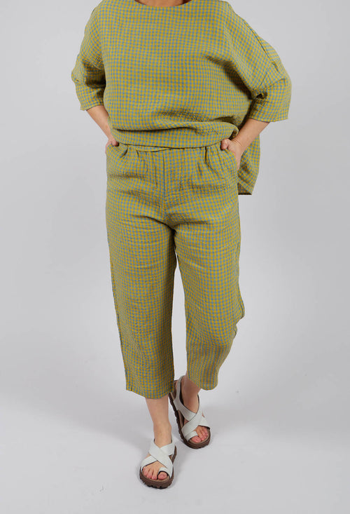 Trouser in Lemon Sky