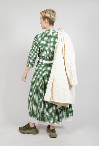 Delmira Printed Dress in Green Check