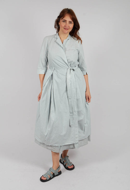 Delmira Dress in Platin Old
