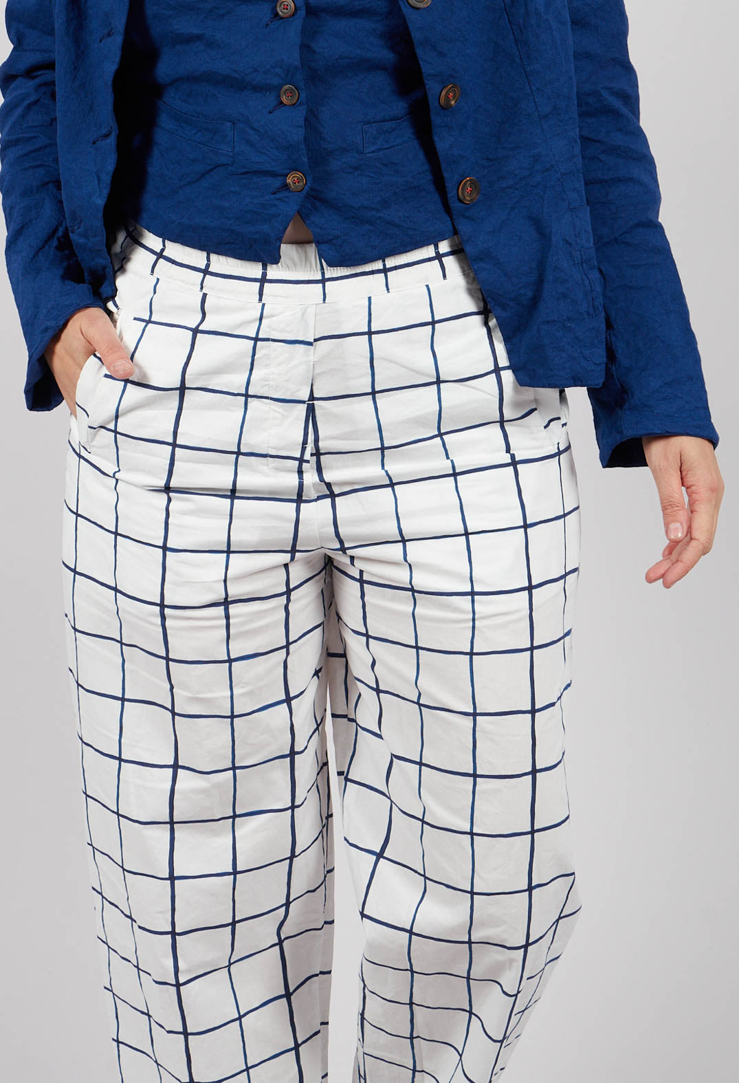 Potamia Printed Trousers in Blue Check