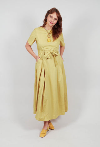 Long Belted Dress in Golden