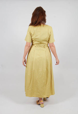 Long Belted Dress in Golden