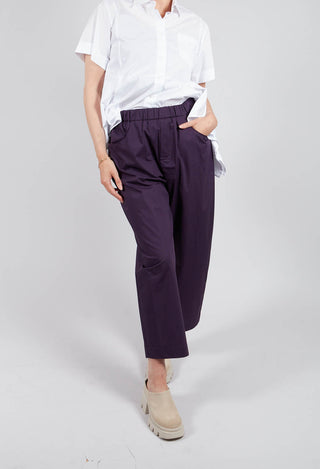 Wide Leg Trouser in Mauve