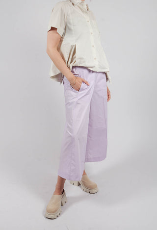 Palazzo Pants in Lilac