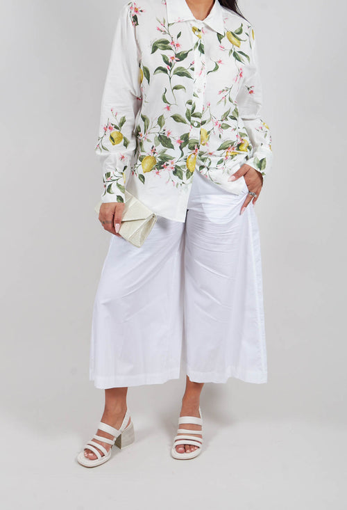 Palazzo Pants in Off White