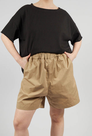 Shorts WG in Gold
