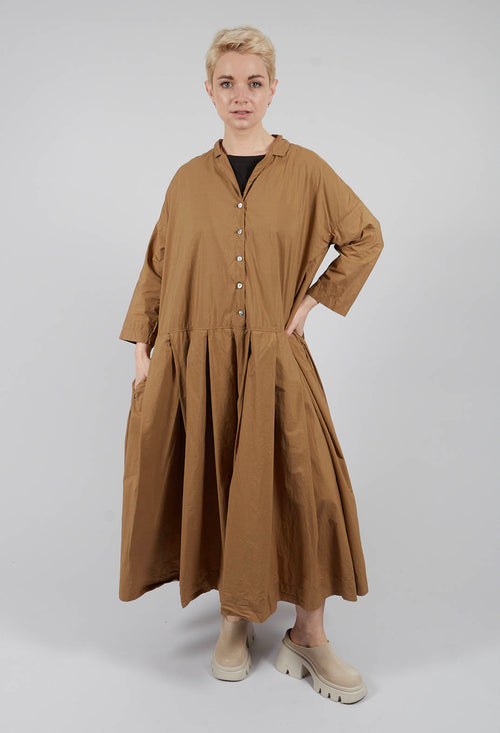 Pleated Collar Dress TC in Gold