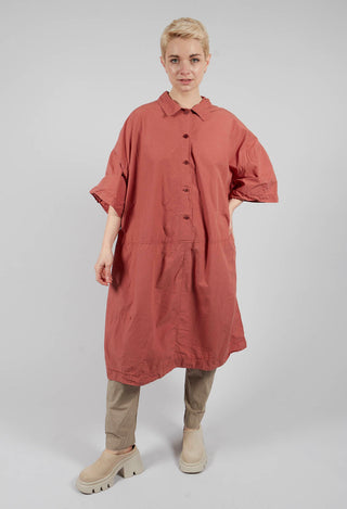 Collar Dress TC in Coral