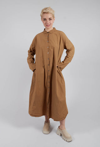 Long Shirt Dress TC in Gold