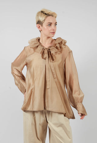 Sheer Long Sleeve Top in Gold