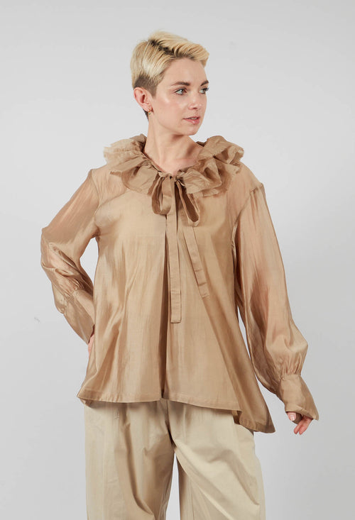 Sheer Long Sleeve Top in Gold