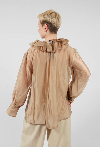Sheer Long Sleeve Top in Gold