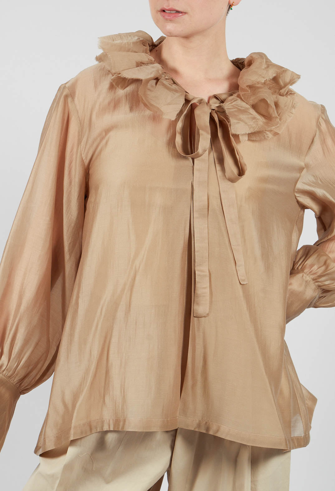 Sheer Long Sleeve Top in Gold