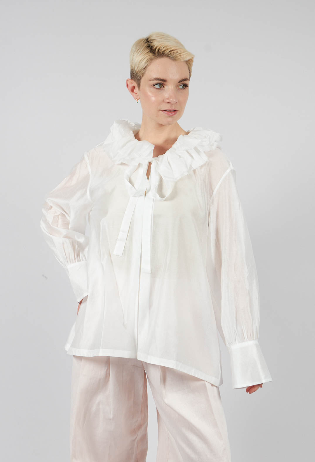 Sheer Long Sleeve Top in White