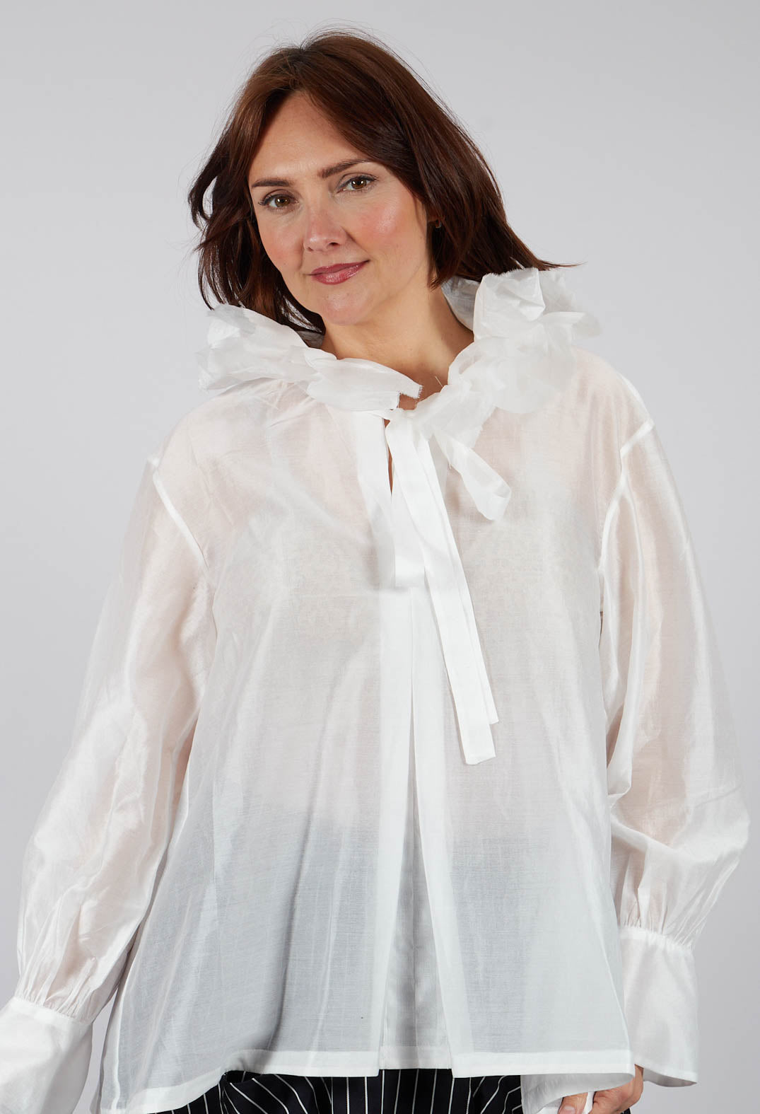 Sheer Long Sleeve Top in White