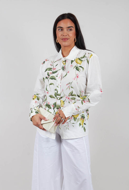 Timo Shirt in Panna Limoni