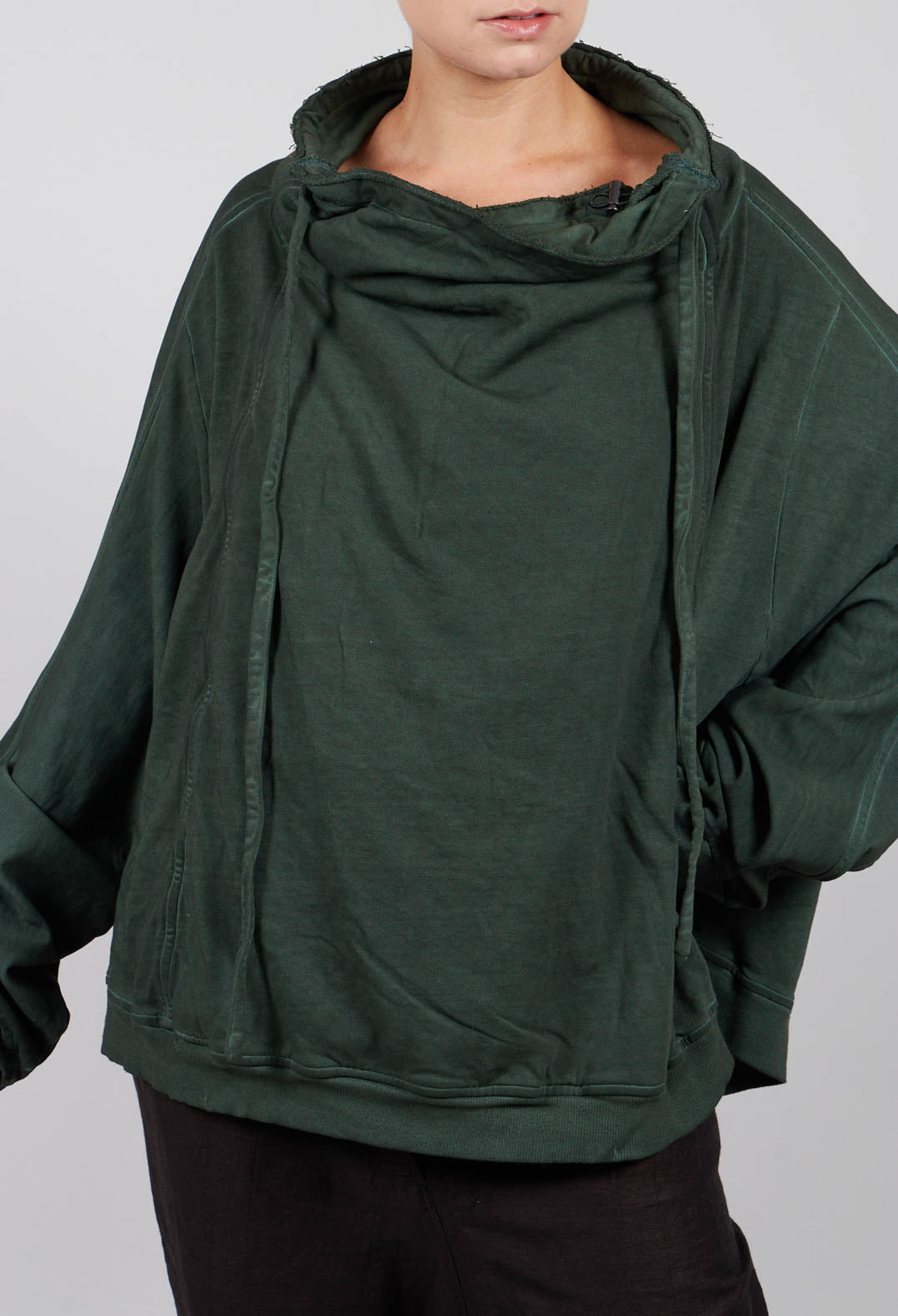 Oversized Sweatshirt in Pine Cloud - 2270503