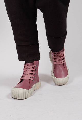 Lace Up Ankle Boots in Flamingo - 2985250