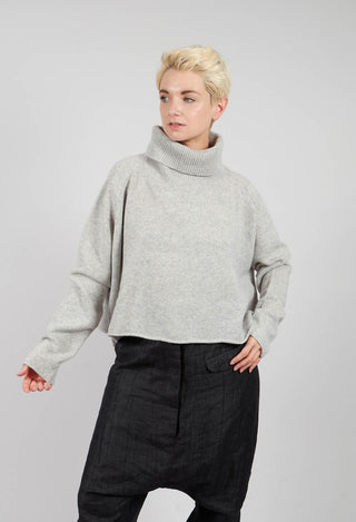 Short Fit Roll Neck Jumper in Light Grey - 3620702