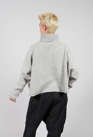 Short Fit Roll Neck Jumper in Light Grey - 3620702