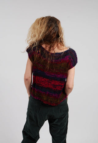Sleeveless Knit in Original Multicolour