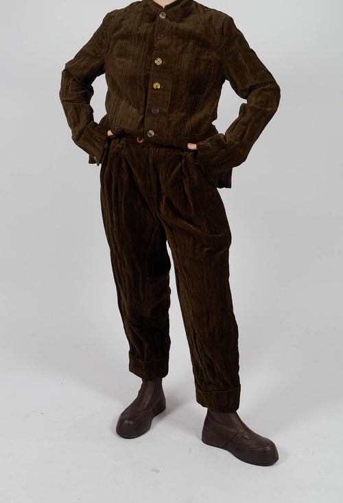 Panel Trousers in Striped Velvet