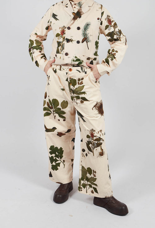 Designer Trousers For Women