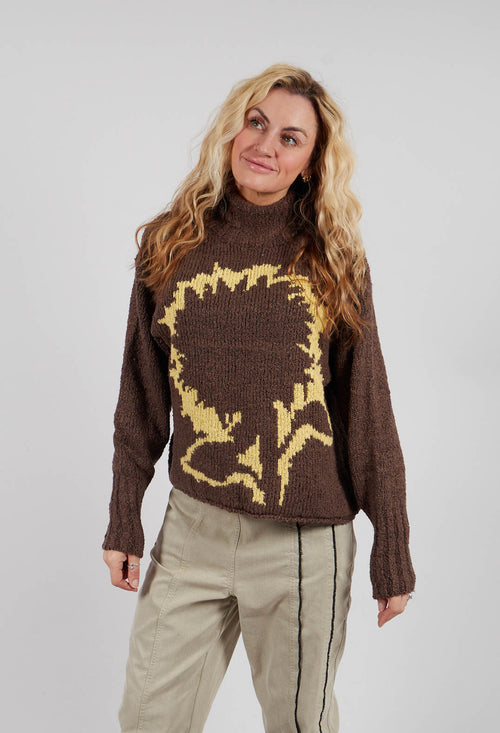 Iggy Jumper in Brown