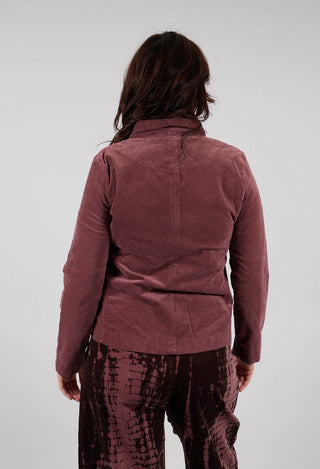 Adel L Jacket in Cipolla