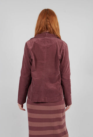Adel L Jacket in Cipolla