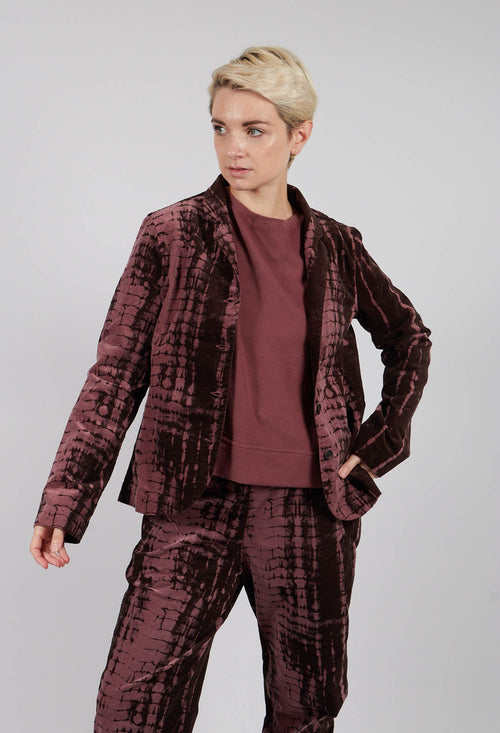 Adel PR Jacket in Cipolla