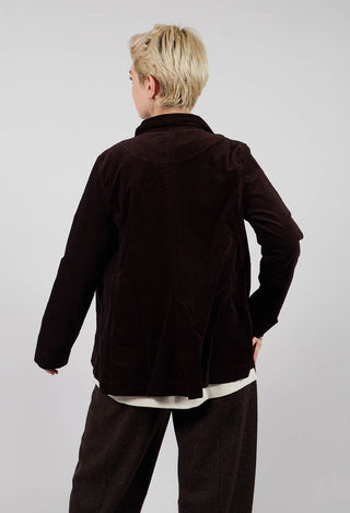 Cimone V Jacket  in Moro