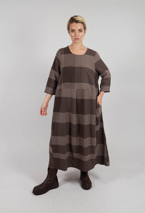 Reishi S Tsant Check Dress in Rinde