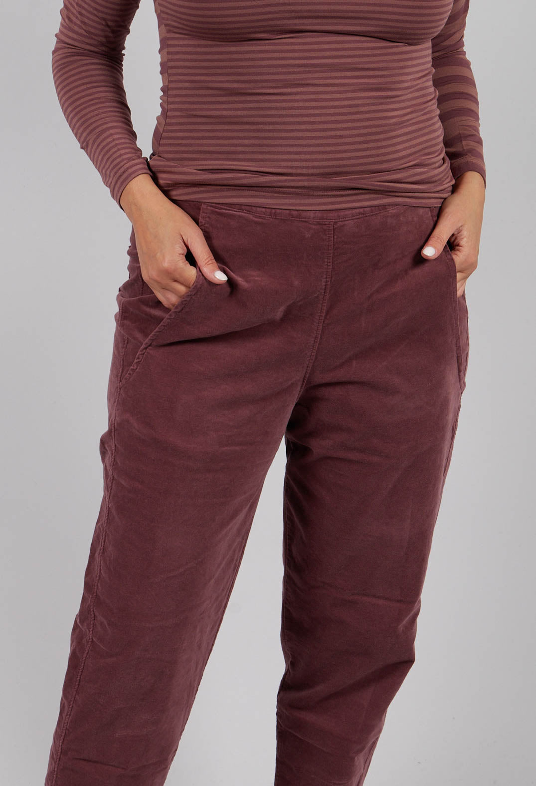 Terra L Trousers in Cipolla