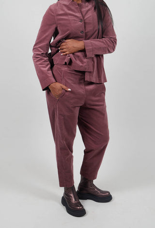 Terra L Trousers in Cipolla