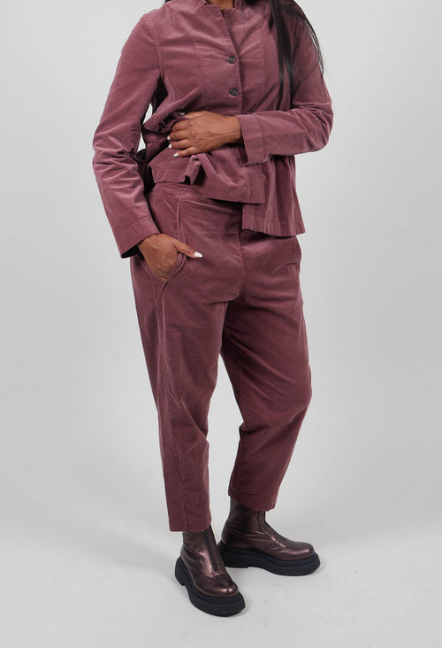 Terra L Trousers in Cipolla