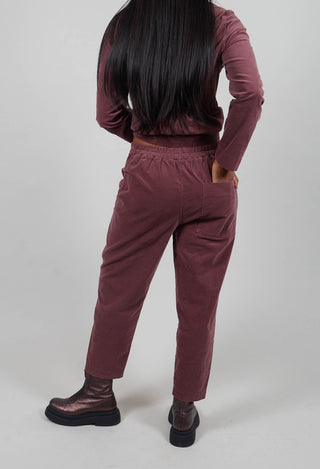 Terra L Trousers in Cipolla