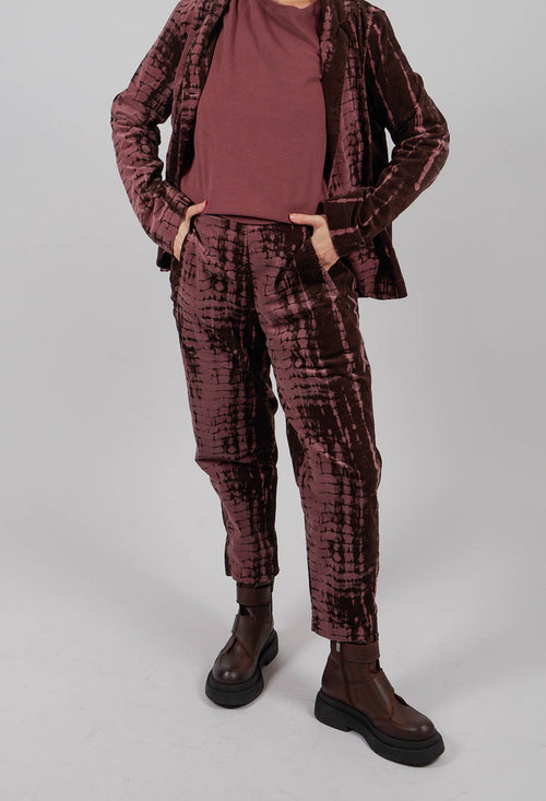 Terra PR Trousers in Cipolla
