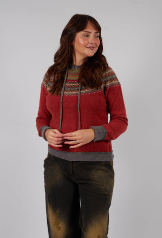 Alpine Hoody Sweater in Copperleaf