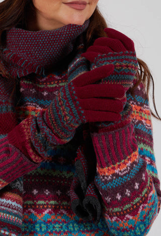 Alpine Gloves in Velvet