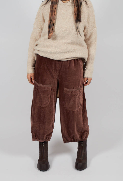 Gus Trousers in Velours Ras Bois de Rose