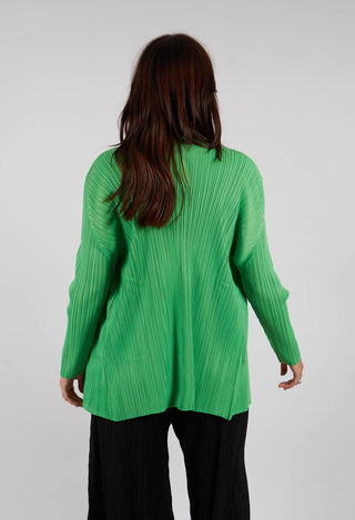 Simply Pleat Jacket in Green