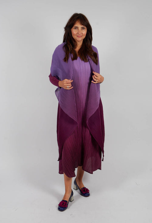 Collare Coat in Violet Sapphire