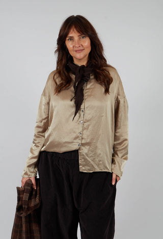 Short Collar Shirt SC in Marron Glace