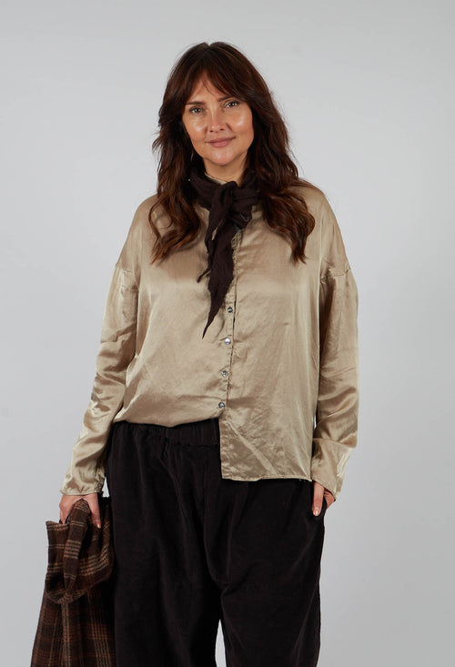 Short Collar Shirt SC in Marron Glace