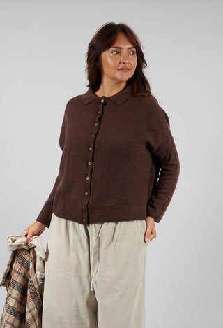 Polo Aperta WS Top in Chestnut