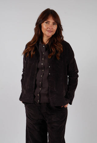 Short Collar Shirt V in Chocolate